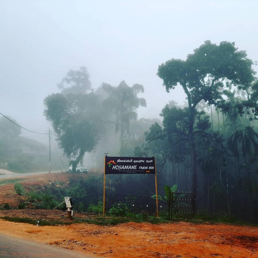 Hosamane Farm Inn Sringeri Esterno foto