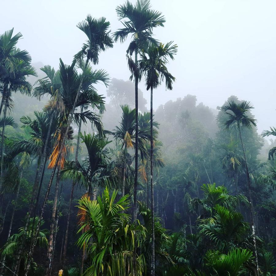 Hosamane Farm Inn Sringeri Esterno foto