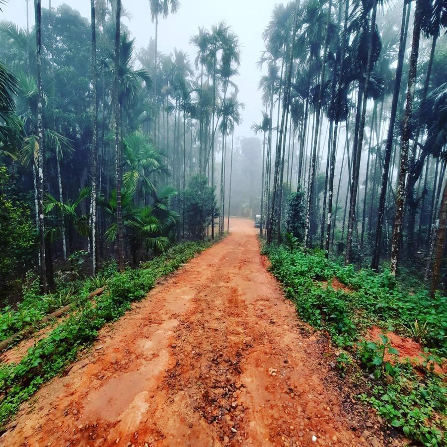 Hosamane Farm Inn Sringeri Esterno foto