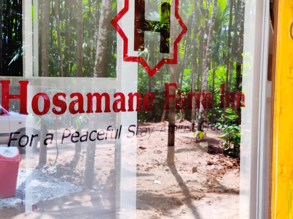 Hosamane Farm Inn Sringeri Esterno foto