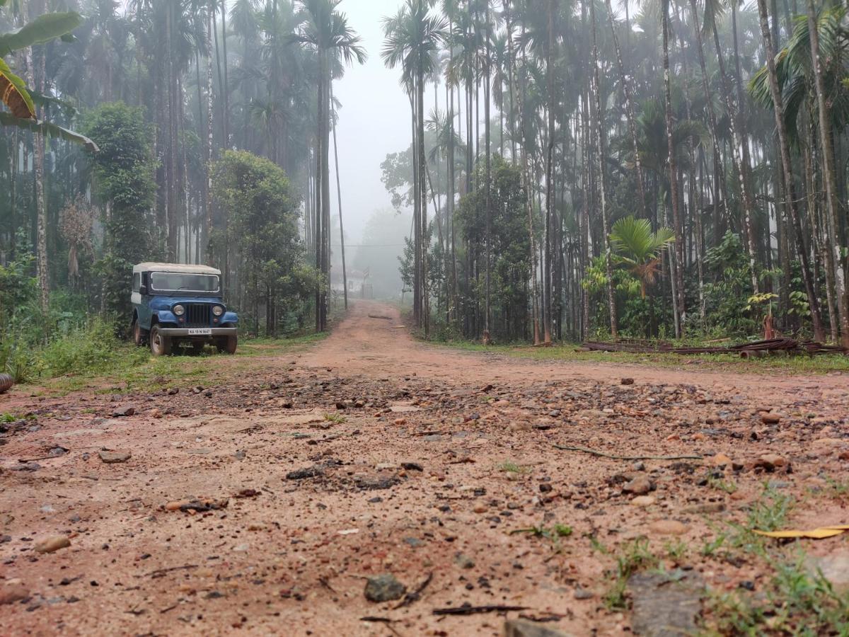 Hosamane Farm Inn Sringeri Esterno foto