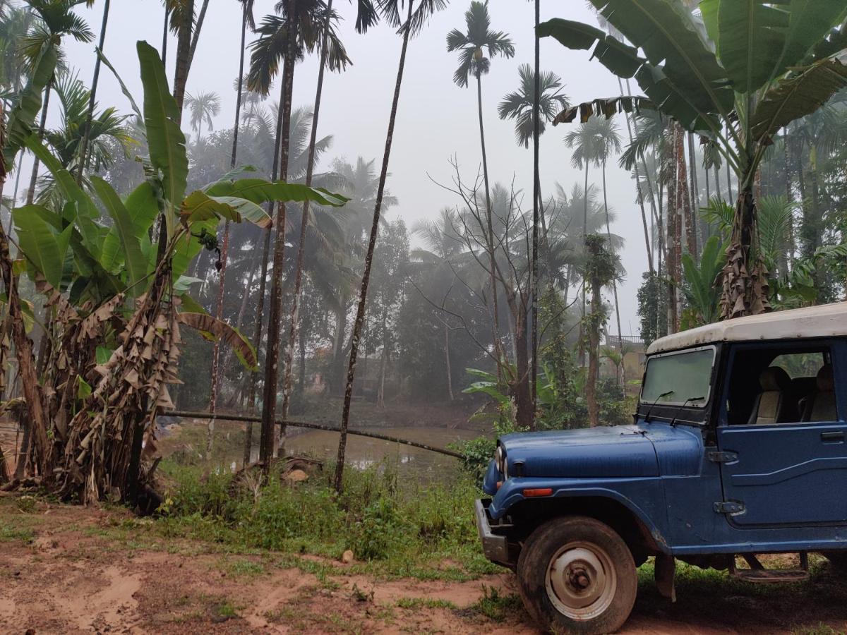 Hosamane Farm Inn Sringeri Esterno foto