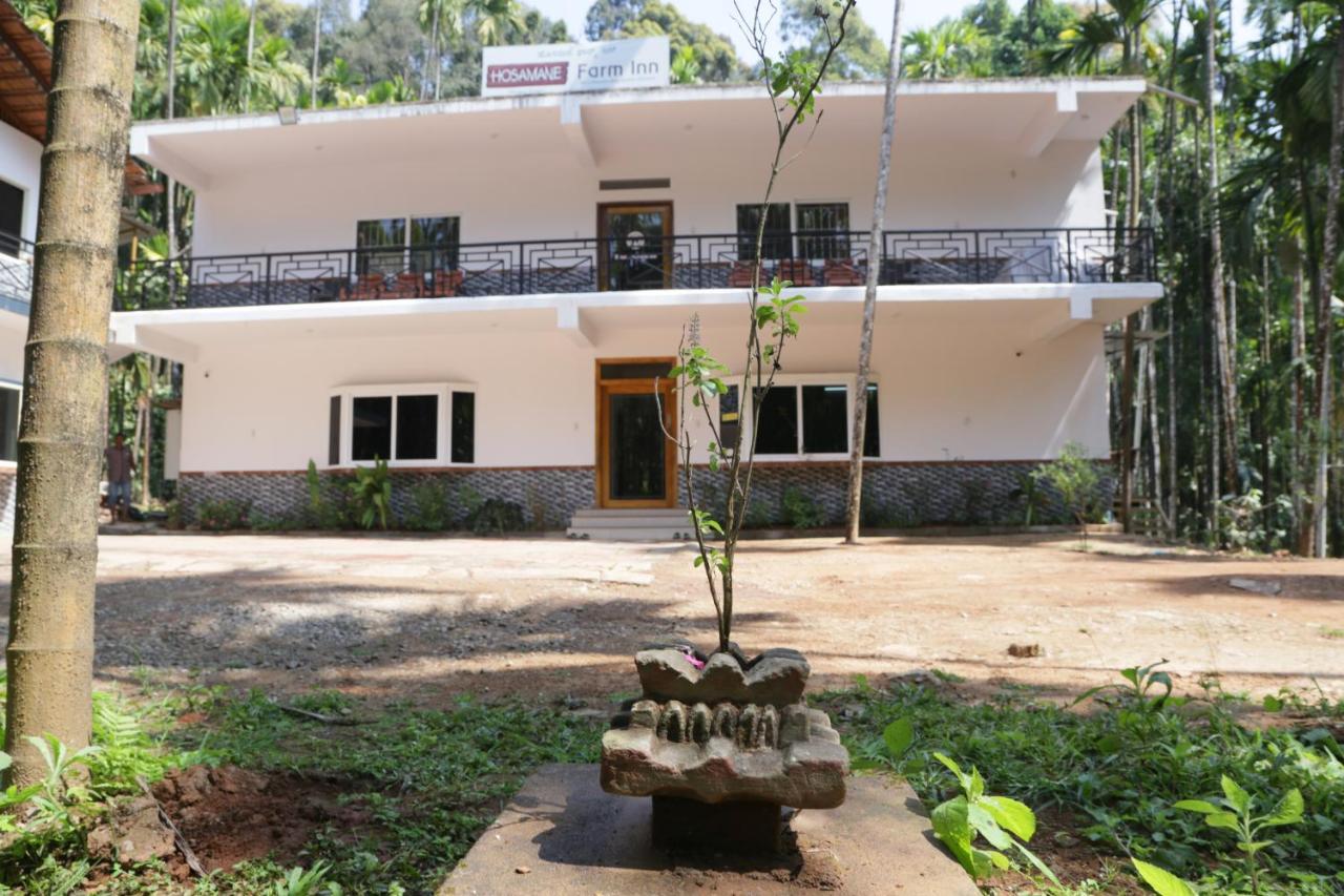 Hosamane Farm Inn Sringeri Esterno foto
