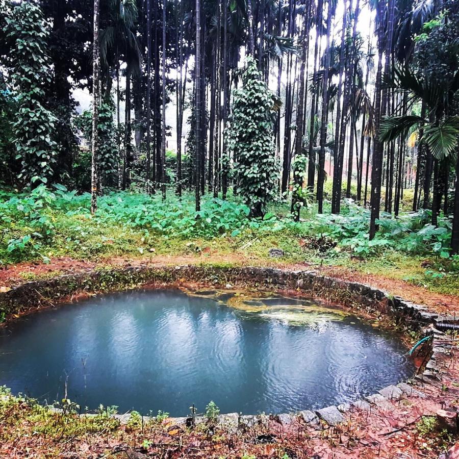 Hosamane Farm Inn Sringeri Esterno foto