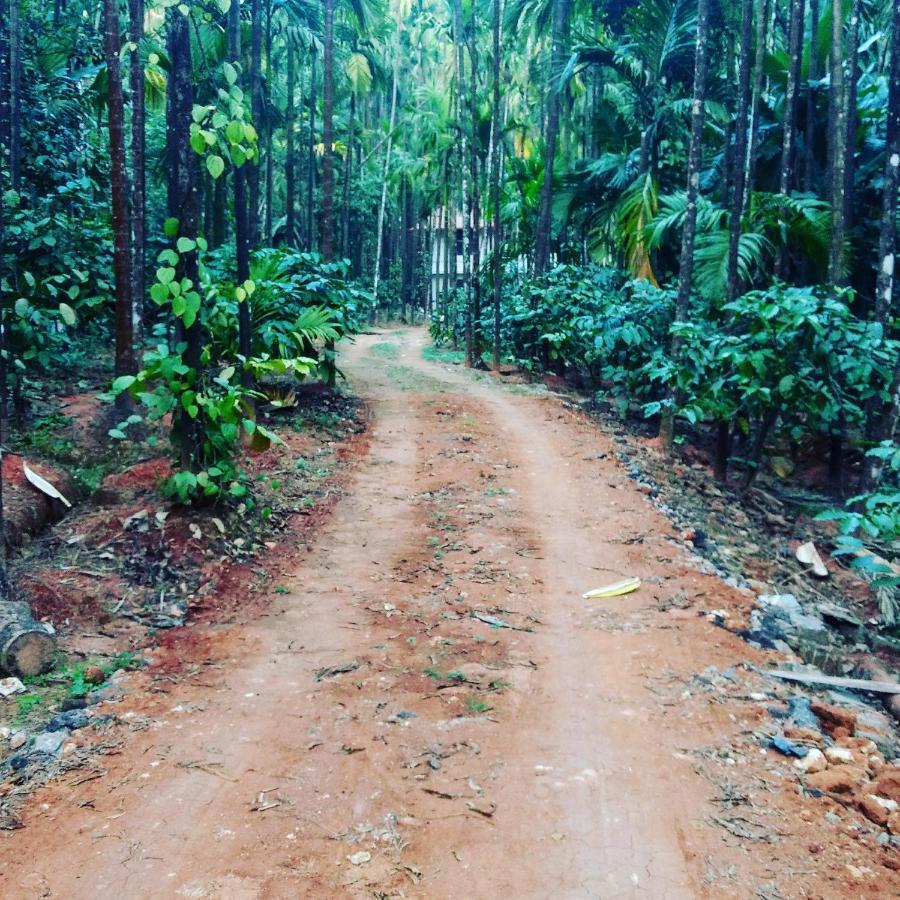 Hosamane Farm Inn Sringeri Esterno foto