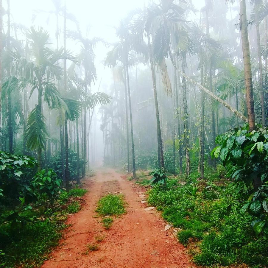 Hosamane Farm Inn Sringeri Esterno foto